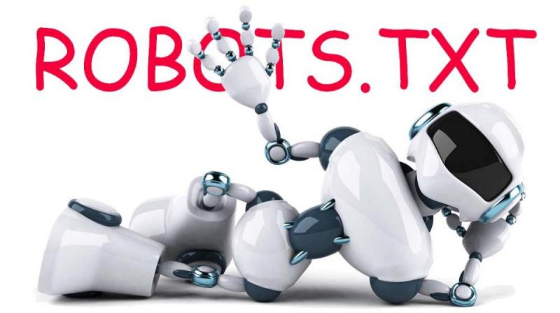 Что такое robots.txt и зачем он нужен в Уссурийске